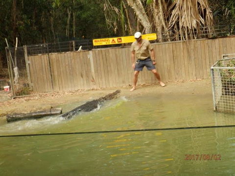 Hartley's Crocodile Adventures Day Trip From Cairns - Accommodation Daintree 8