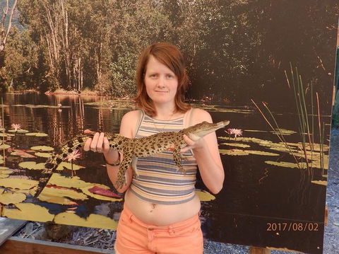 Hartley's Crocodile Adventures Day Trip From Cairns - Accommodation Daintree 3