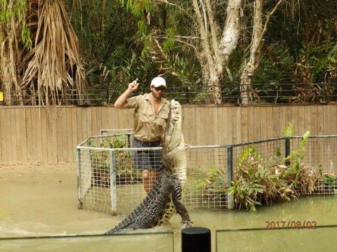 Hartley's Crocodile Adventures Day Trip From Cairns - Accommodation Daintree 2