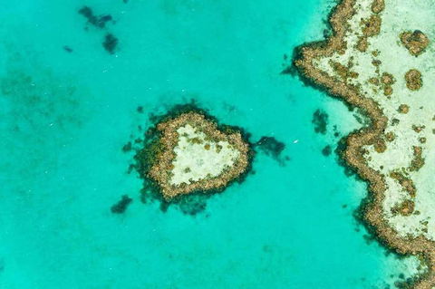 Whitsundays Seaplane Tours - Accommodation Daintree 3
