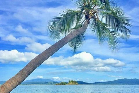 Dunk Island Round-Trip Water Taxi Transfer From Mission Beach - Accommodation Daintree 6