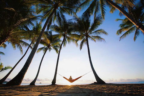 Port Douglas And Hartley's Crocodile Adventure Day Trip From Cairns - Accommodation Daintree 0