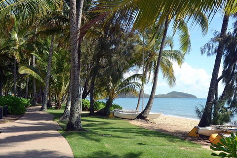Palm Cove, Clifton Beach, Kewarra Beach To/from Cairns - Accommodation Daintree 0