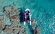 Glass-bottom Boat Tour With Whitehaven Beach - thumb 0