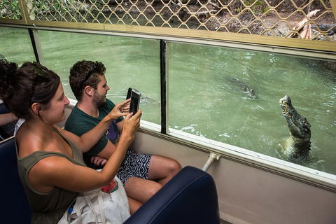 Hartley\'s Crocodile Adventures General Entry Ticket - Accommodation Daintree 1