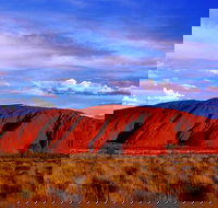 Uluru and Kata Tjuta Experience with BBQ Dinner