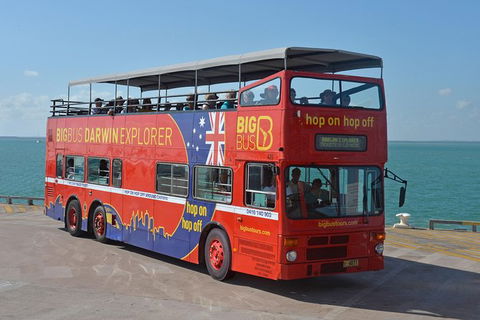 Darwin Hop-on Hop-off Bus Tour - Accommodation Daintree 2