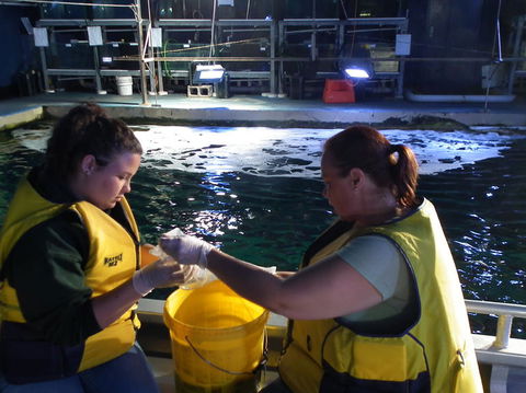 SEA LIFE Sydney Aquarium Entrance Ticket - Accommodation Daintree 14