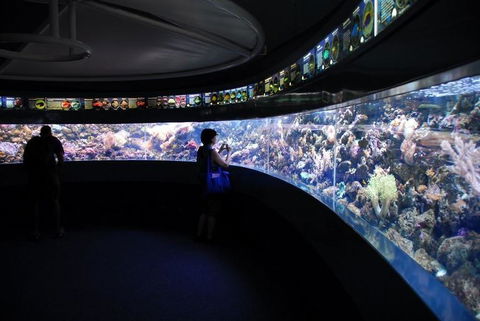 SEA LIFE Sydney Aquarium Entrance Ticket - Accommodation Daintree 23