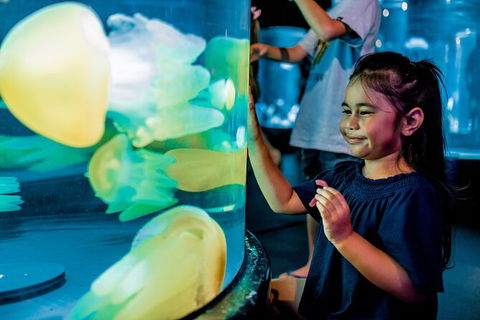 SEA LIFE Sydney Aquarium Entrance Ticket - Accommodation Daintree 26