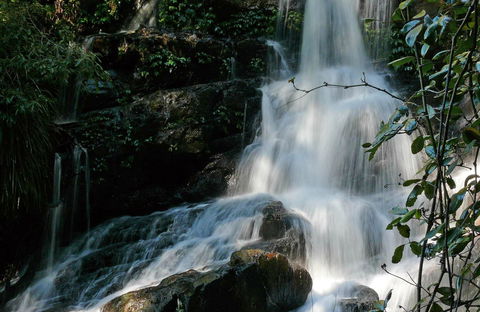 Bangalore Falls Walking Track - Accommodation Daintree 0