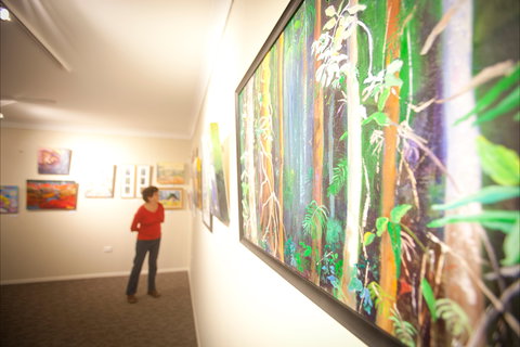 Bluebelles Art Gallery - Accommodation Daintree 1