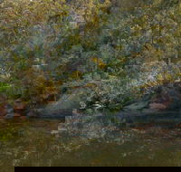 Blue Pool walking track - Accommodation Daintree