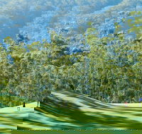 Bonville Golf Resort - Accommodation Daintree