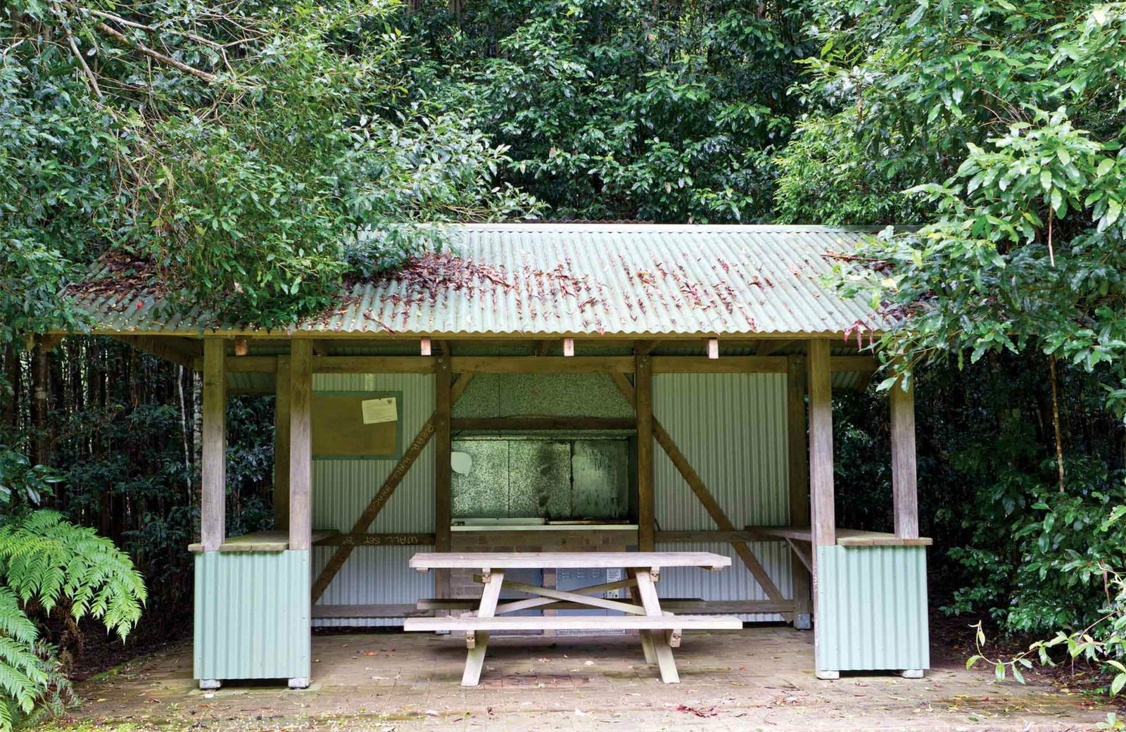 Gibraltar Range NSW Accommodation Daintree