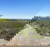 Hale Conservation Park - Accommodation Daintree