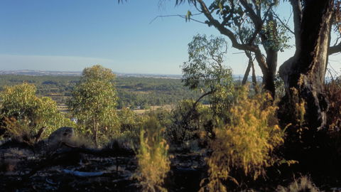 Heathcote-Graytown National Park - Accommodation Daintree 0