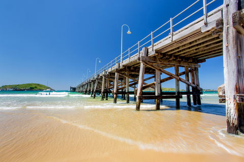 Jetty Beach - Accommodation Daintree 1