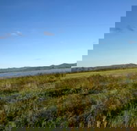 Lakeland - Accommodation Daintree