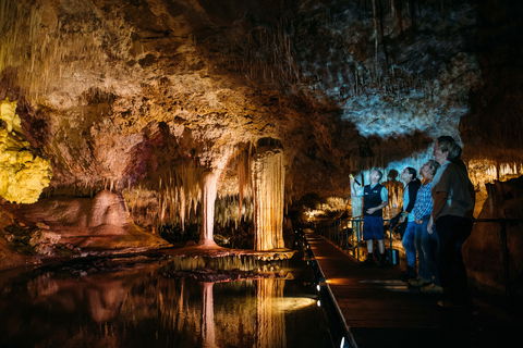 Lake Cave - Accommodation Daintree 0