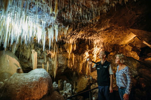 Lake Cave - Accommodation Daintree 1