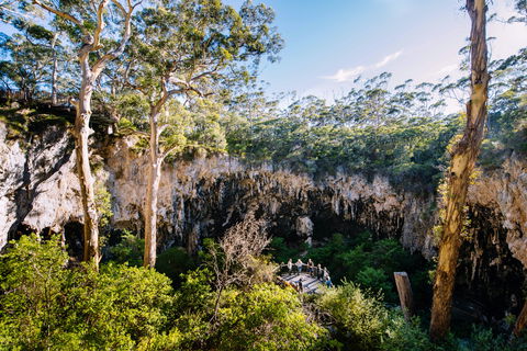 Lake Cave - Accommodation Daintree 2