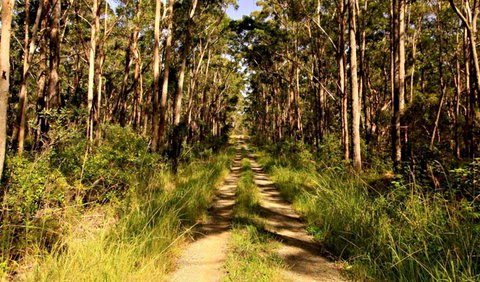 Mining Road Fire Trail, Old Gibber Road Rire Trail - Accommodation Daintree 0