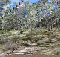 Reef Hills State Park - Accommodation Daintree