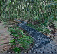 The Channon Protesters Falls Nimbin and Mount Nardi - Accommodation Daintree