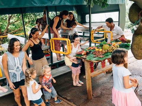 Tropical Fruit World - Accommodation Daintree 2