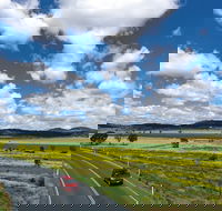 Warrego Way - Accommodation Daintree