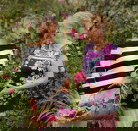 White Cottage - Accommodation Daintree