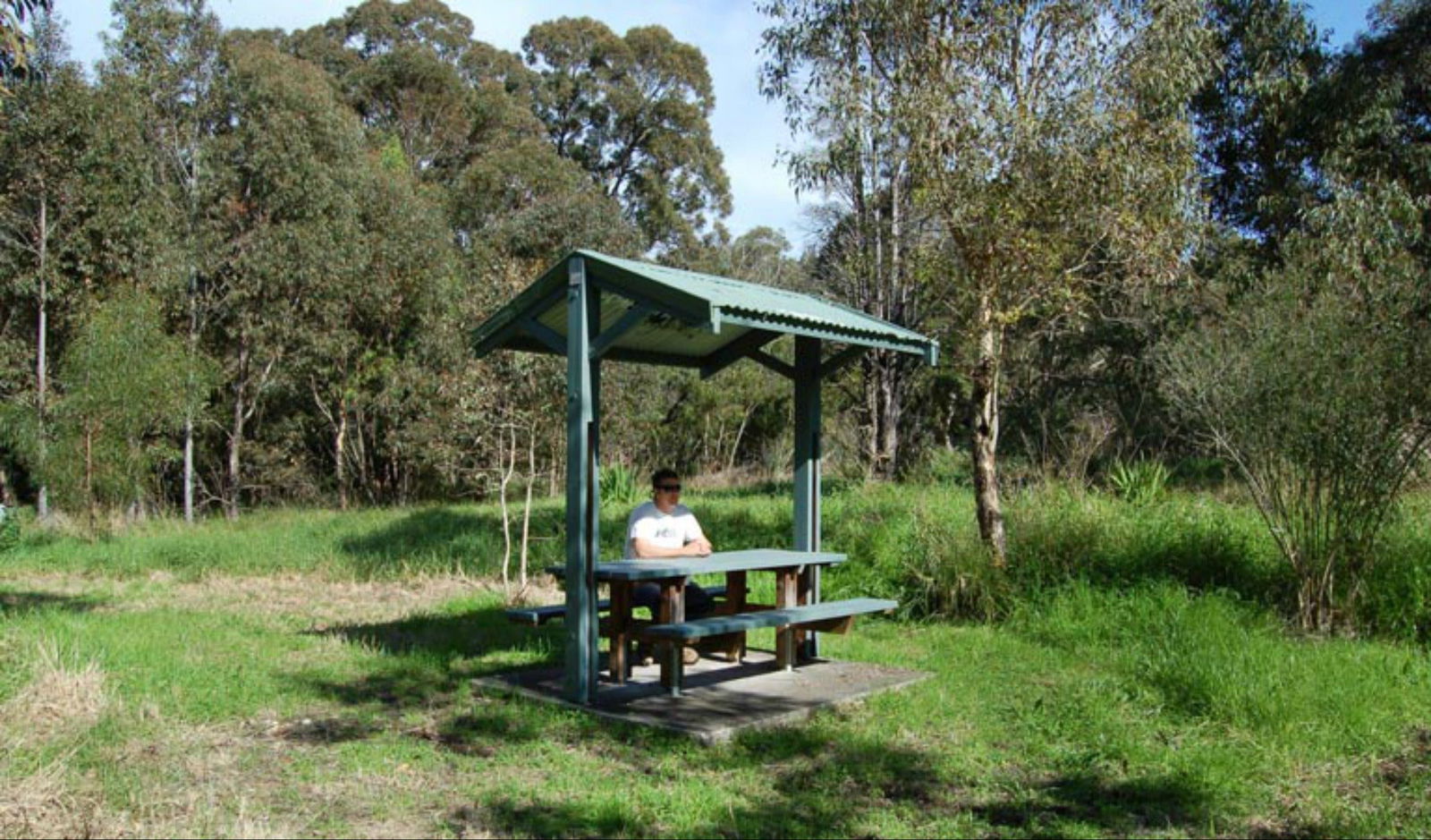 Bolton Point NSW Accommodation Daintree