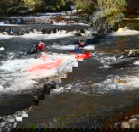 Barrington River - Accommodation Daintree