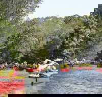 Bonville Creek - Accommodation Daintree
