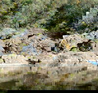 Boonoo Boonoo National Park - Accommodation Daintree