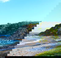 Clay Head - Accommodation Daintree