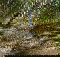 Cliff Face track - Accommodation Daintree