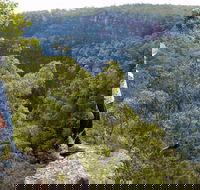 Glenbrook Gorge Track - Accommodation Daintree