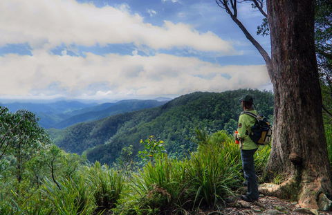Gloucester Falls Walking Track - Accommodation Daintree 0