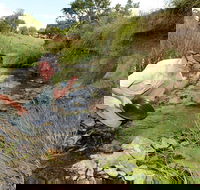 Gold Panning Deep Creek - Accommodation Daintree