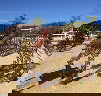 Gundersen Reserve - Accommodation Daintree