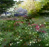Heysen - The Cedars - Accommodation Daintree
