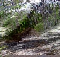 Lanky's Walk - Accommodation Daintree