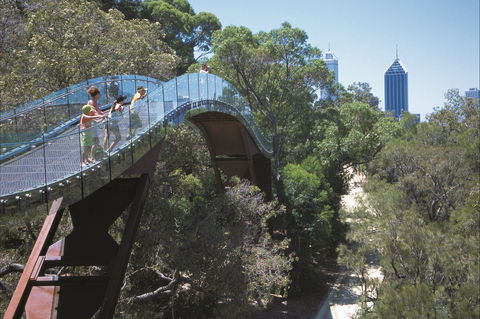 Lotterywest Federation Walkway - Kings Park - Accommodation Daintree 1