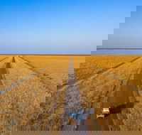 Matilda Way - Accommodation Daintree