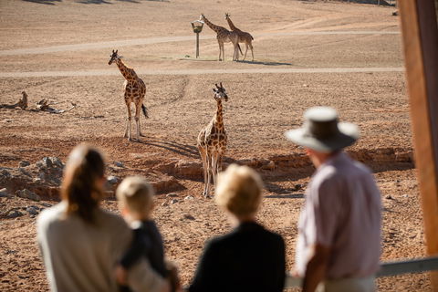 Monarto Safari Park - Accommodation Daintree 0