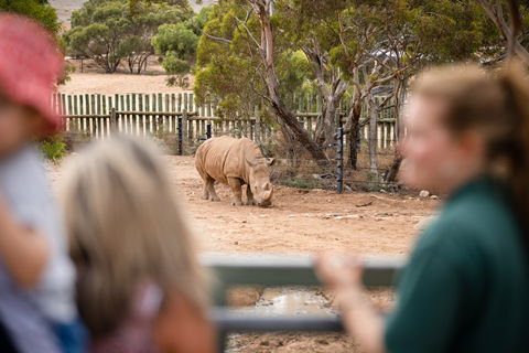Monarto Safari Park - Accommodation Daintree 1