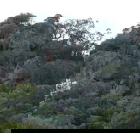 Mount Yarrowyck Nature Reserve - Accommodation Daintree