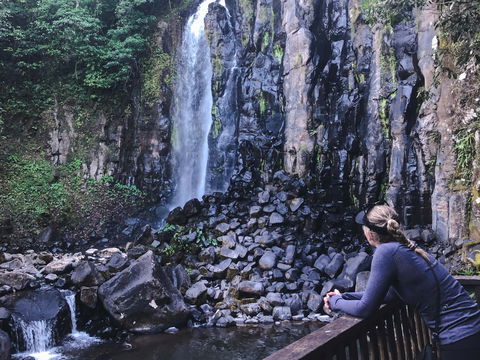 Mungalli Falls - Accommodation Daintree 0